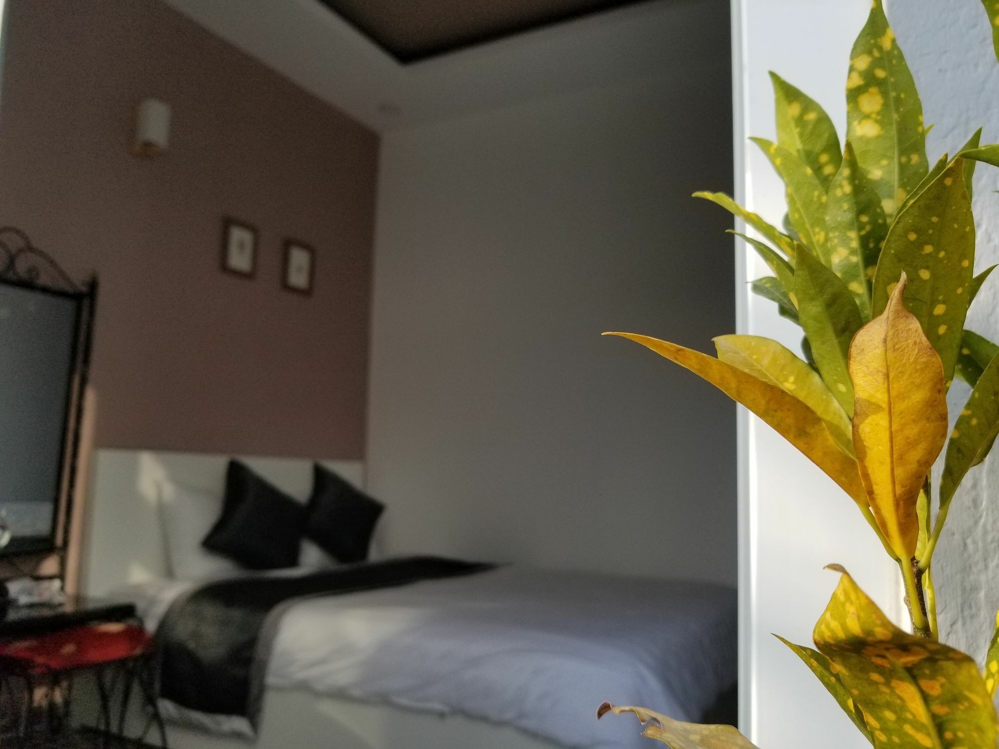 Ribe'S House Apartment Da Lat Exterior photo